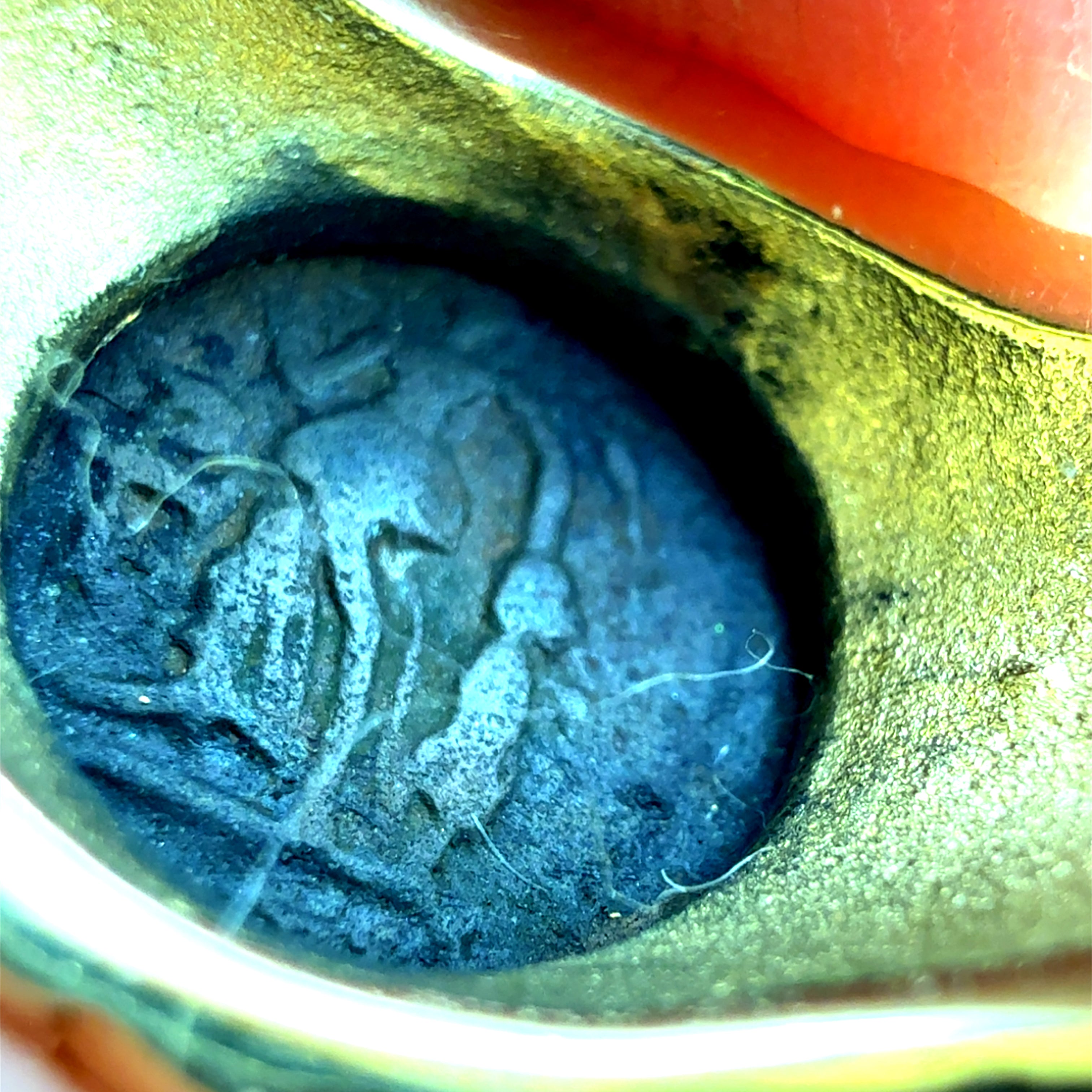 Retro Gold Roman Coin with Natural Emerald Statement Ring Circa 1980
